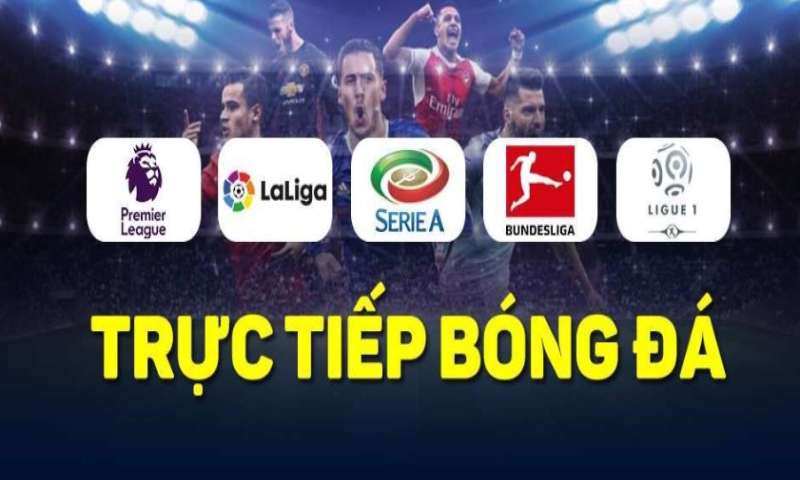  Bảng xếp hạng bóng đá tất cả các giải đấu
