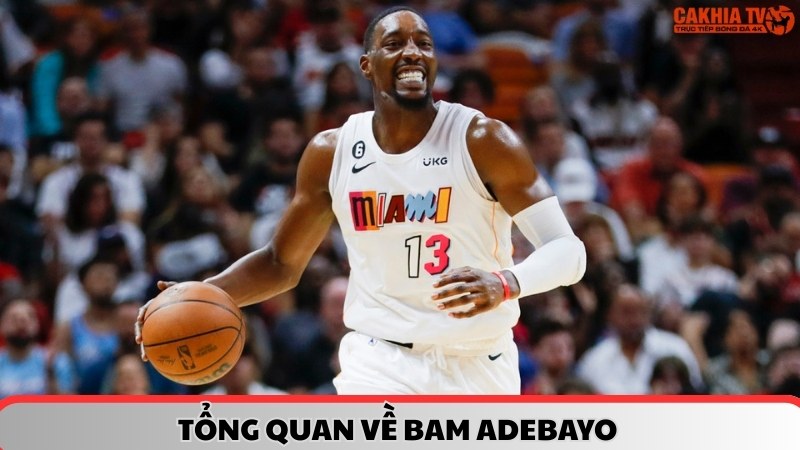 Tổng quan về Bam Adebayo