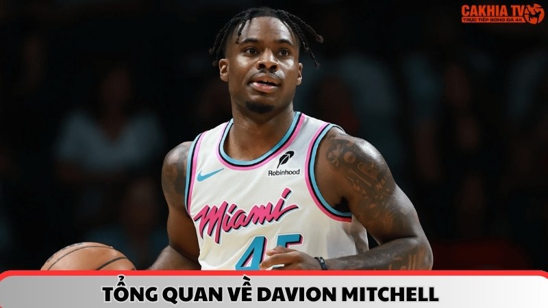 Tổng quan về Davion Mitchell