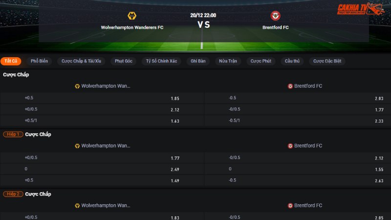 Wolves vs Brentford